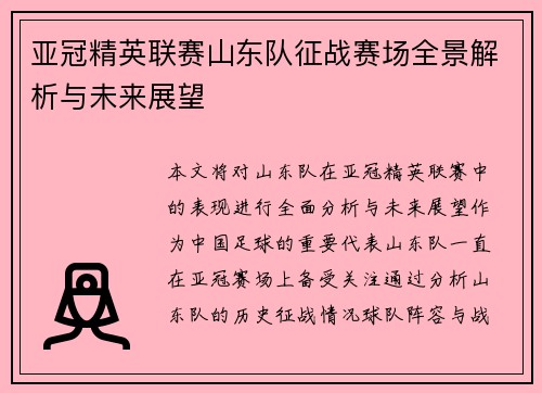 亚冠精英联赛山东队征战赛场全景解析与未来展望